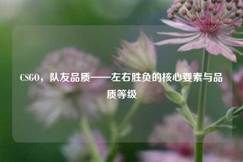 CSGO，队友品质——左右胜负的核心要素与品质等级