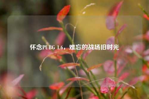 怀念PUBG 1.6,难忘的战场旧时光