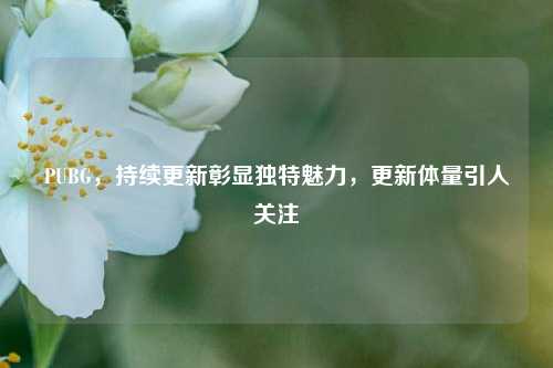 PUBG,持续更新彰显独特魅力,更新体量引人关注