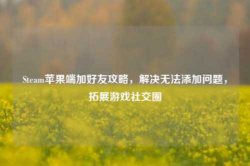 Steam苹果端加好友攻略,解决无法添加问题,拓展游戏社交圈