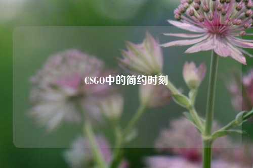 CSGO中的简约时刻