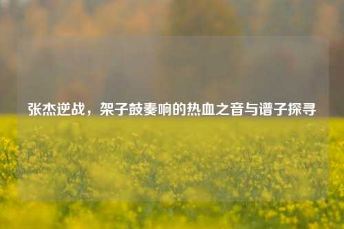 张杰逆战，架子鼓奏响的热血之音与谱子探寻