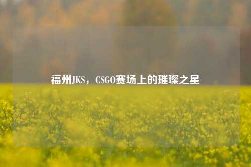 福州JKS，CSGO赛场上的璀璨之星