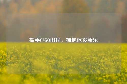 挥手CSGO旧程，拥抱退役新乐