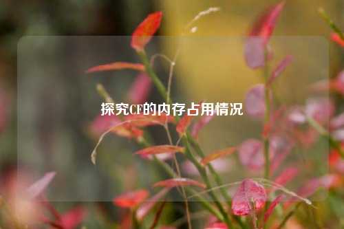 探究CF的内存占用情况
