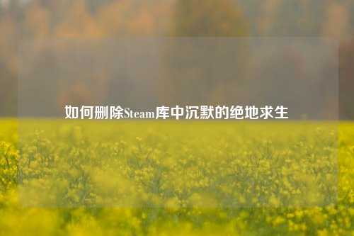 如何删除Steam库中沉默的绝地求生