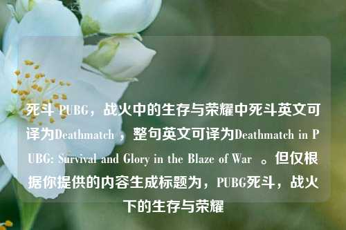 死斗 PUBG,战火中的生存与荣耀中死斗英文可译为Deathmatch ,整句英文可译为Deathmatch in PUBG: Survival and Glory in the Blaze of War 。但仅根据你提供的内容生成标题为,PUBG死斗,战火下的生存与荣耀