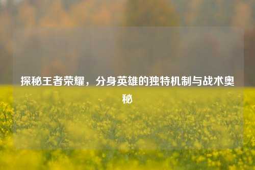 探秘王者荣耀，分身英雄的独特机制与战术奥秘