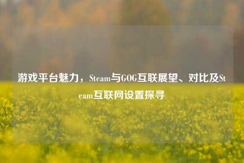 游戏平台魅力，Steam与GOG互联展望、对比及Steam互联网设置探寻