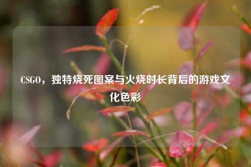 CSGO，独特烧死图案与火烧时长背后的游戏文化色彩