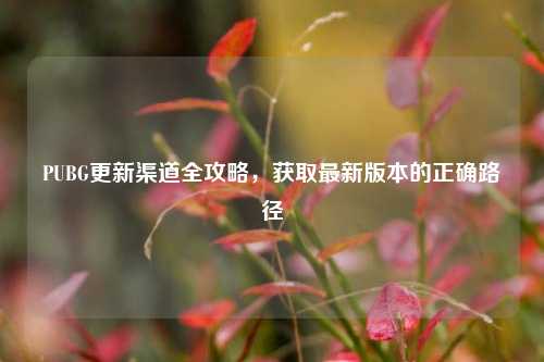PUBG更新渠道全攻略，获取最新版本的正确路径