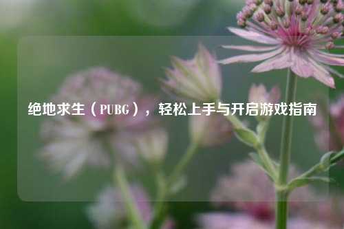 绝地求生（PUBG），轻松上手与开启游戏指南