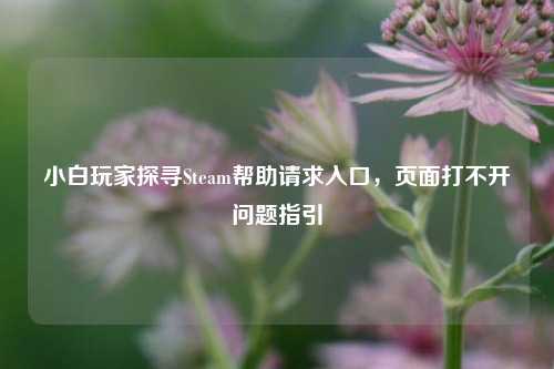 小白玩家探寻Steam帮助请求入口，页面打不开问题指引