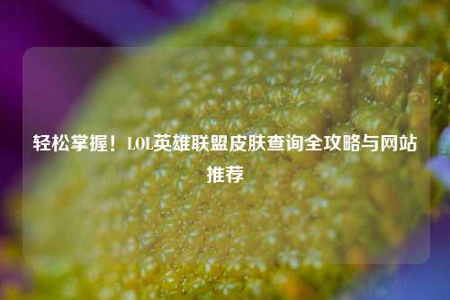 轻松掌握！LOL英雄联盟皮肤查询全攻略与网站推荐