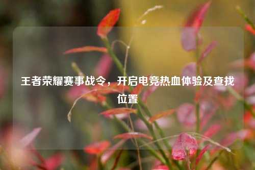 王者荣耀赛事战令，开启电竞热血体验及查找位置
