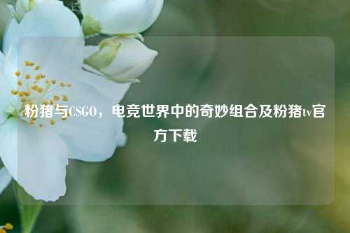 粉猪与CSGO，电竞世界中的奇妙组合及粉猪tv官方下载