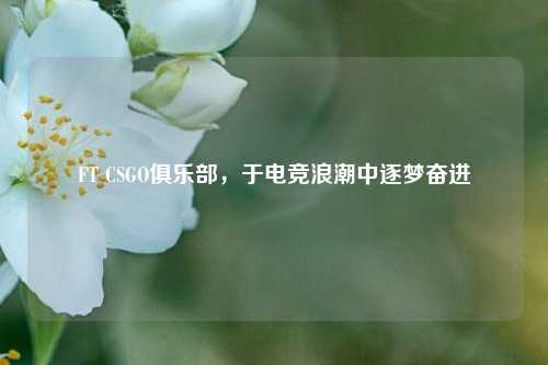 FT CSGO俱乐部，于电竞浪潮中逐梦奋进
