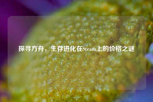 探寻方舟，生存进化在Steam上的价格之谜