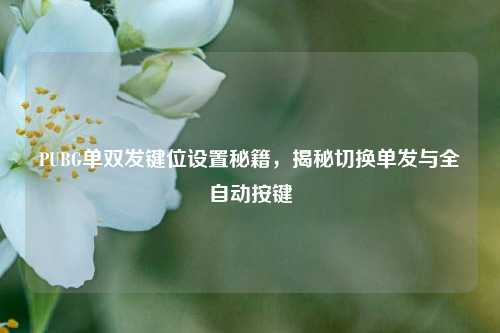 PUBG单双发键位设置秘籍，揭秘切换单发与全自动按键