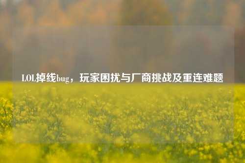 LOL掉线bug，玩家困扰与厂商挑战及重连难题