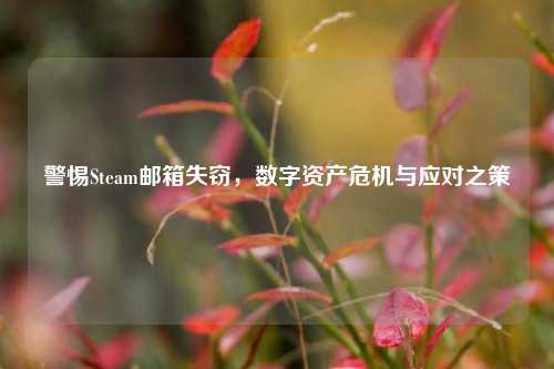 警惕Steam邮箱失窃，数字资产危机与应对之策