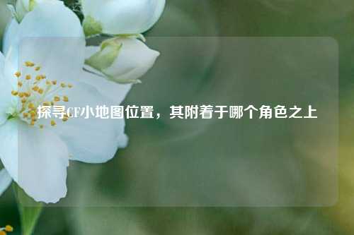 探寻CF小地图位置，其附着于哪个角色之上