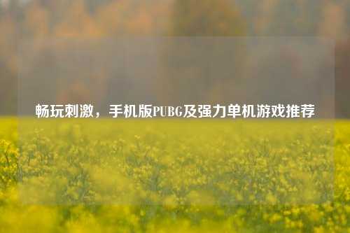 畅玩刺激,手机版PUBG及强力单机游戏推荐