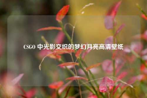 CSGO 中光影交织的梦幻月亮高清壁纸