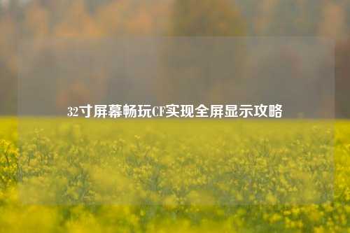 32寸屏幕畅玩CF实现全屏显示攻略