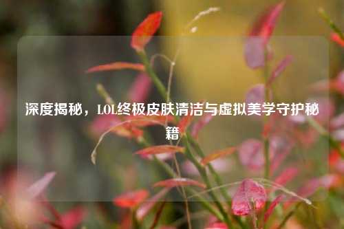 深度揭秘,LOL终极皮肤清洁与虚拟美学守护秘籍