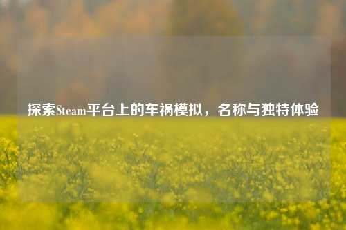 探索Steam平台上的车祸模拟，名称与独特体验