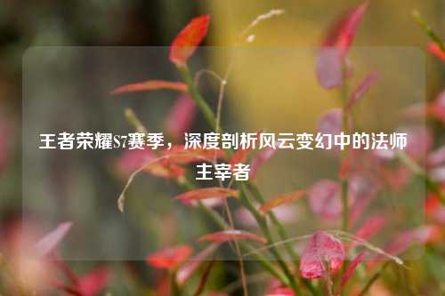 王者荣耀S7赛季，深度剖析风云变幻中的法师主宰者