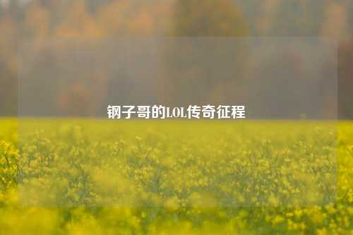 钢子哥的LOL传奇征程