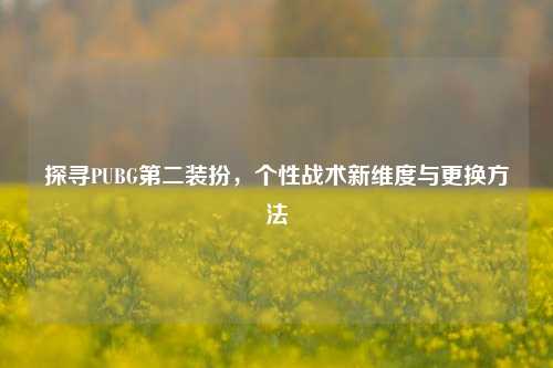 探寻PUBG第二装扮，个性战术新维度与更换方法