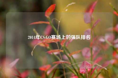 2014年CS:GO赛场上的强队排名