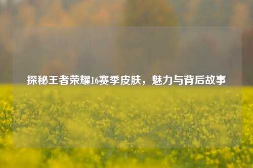 探秘王者荣耀16赛季皮肤，魅力与背后故事