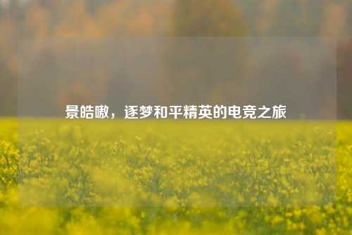 景皓嗷，逐梦和平精英的电竞之旅