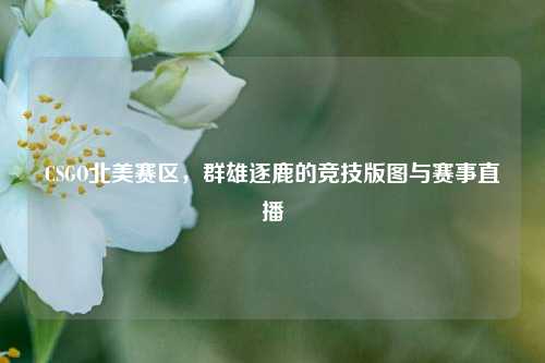 CSGO北美赛区，群雄逐鹿的竞技版图与赛事直播