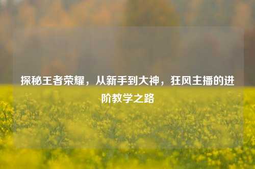 探秘王者荣耀，从新手到大神，狂风主播的进阶教学之路