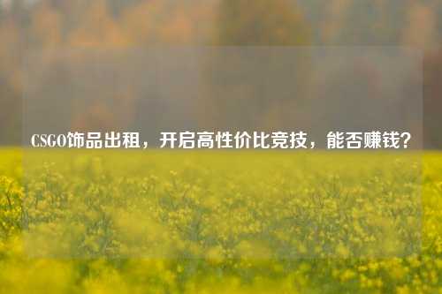 CSGO饰品出租，开启高性价比竞技，能否赚钱？