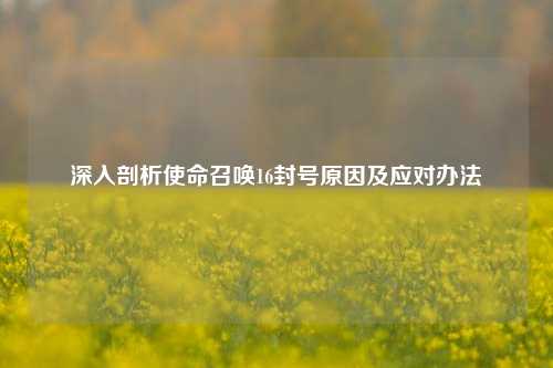 深入剖析使命召唤16封号原因及应对办法