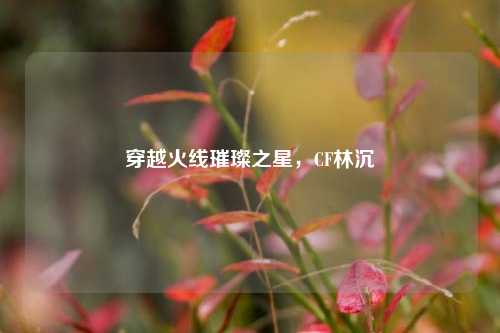 穿越火线璀璨之星，CF林沉