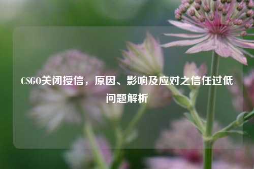 CSGO关闭授信，原因、影响及应对之信任过低问题解析