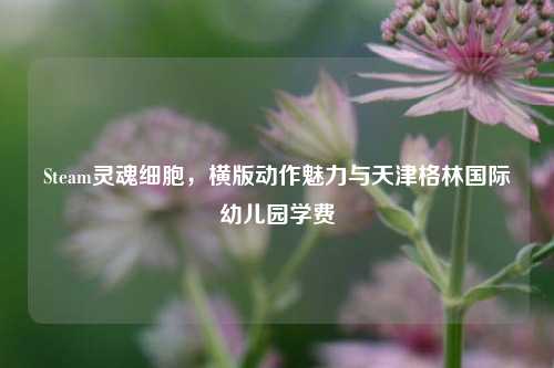 Steam灵魂细胞，横版动作魅力与天津格林国际幼儿园学费