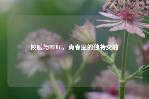 校服与PUBG，青春里的独特交融