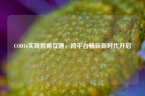 COD16实现数据互通，跨平台畅玩新时代开启