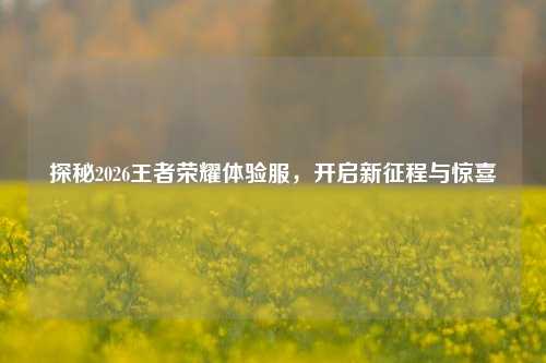 探秘2026王者荣耀体验服，开启新征程与惊喜