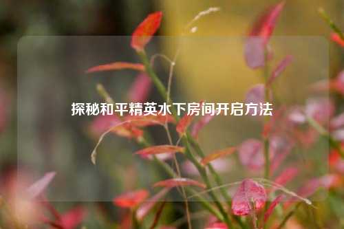 探秘和平精英水下房间开启方法