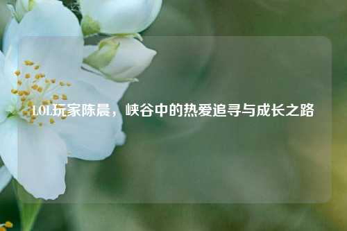 LOL玩家陈晨，峡谷中的热爱追寻与成长之路