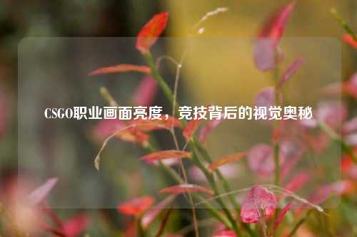 CSGO职业画面亮度，竞技背后的视觉奥秘